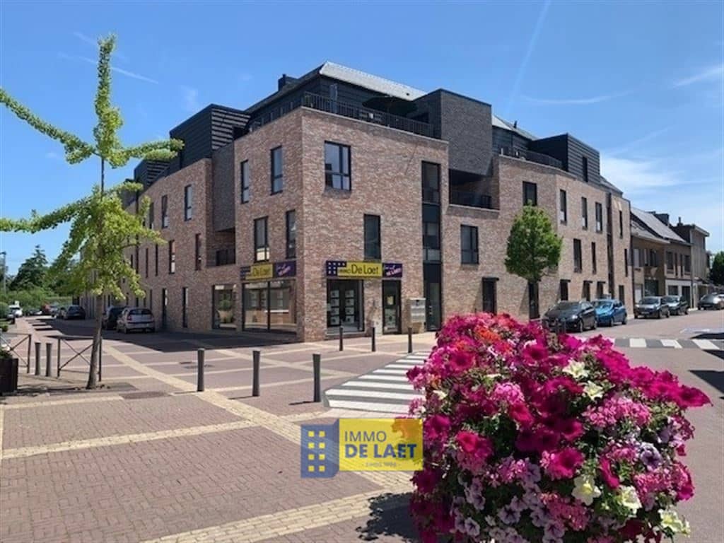 Staanplaats - binnen in Schelle foto 2